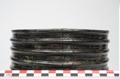 Foto von Bronzerippenziste (NHMW-PRAE-025670)